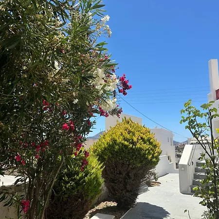 Solid * Triovasálos