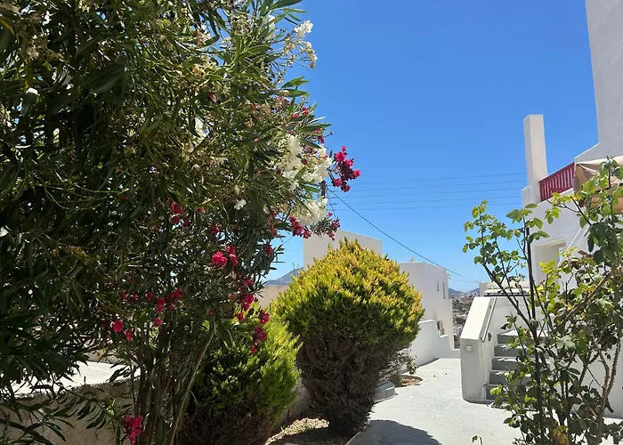 Solid * Triovasálos