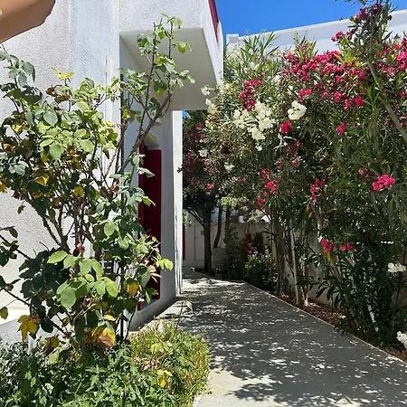 Solid Сasa de vacaciones