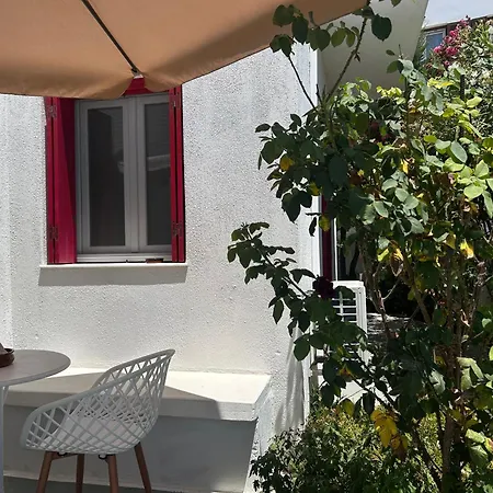 Solid