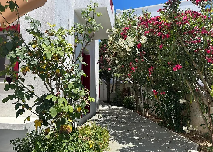 Solid Сasa de vacaciones