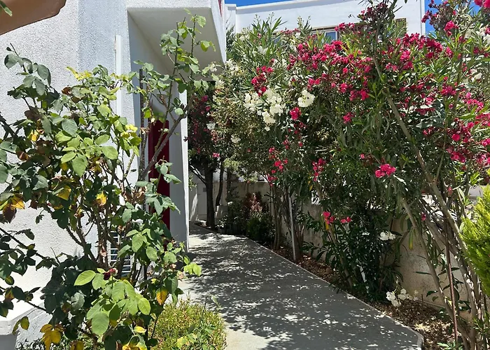 Solid Semesterbostad Triovasálos